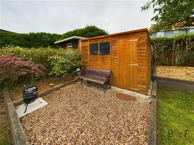 Picture 22